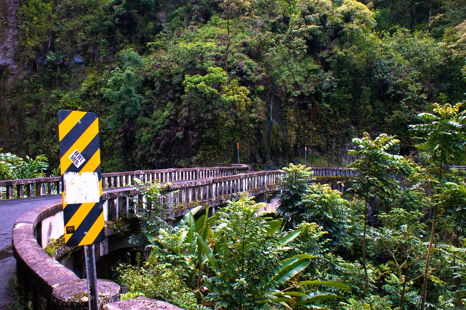 Bridge and waterfall on the Road to Hana