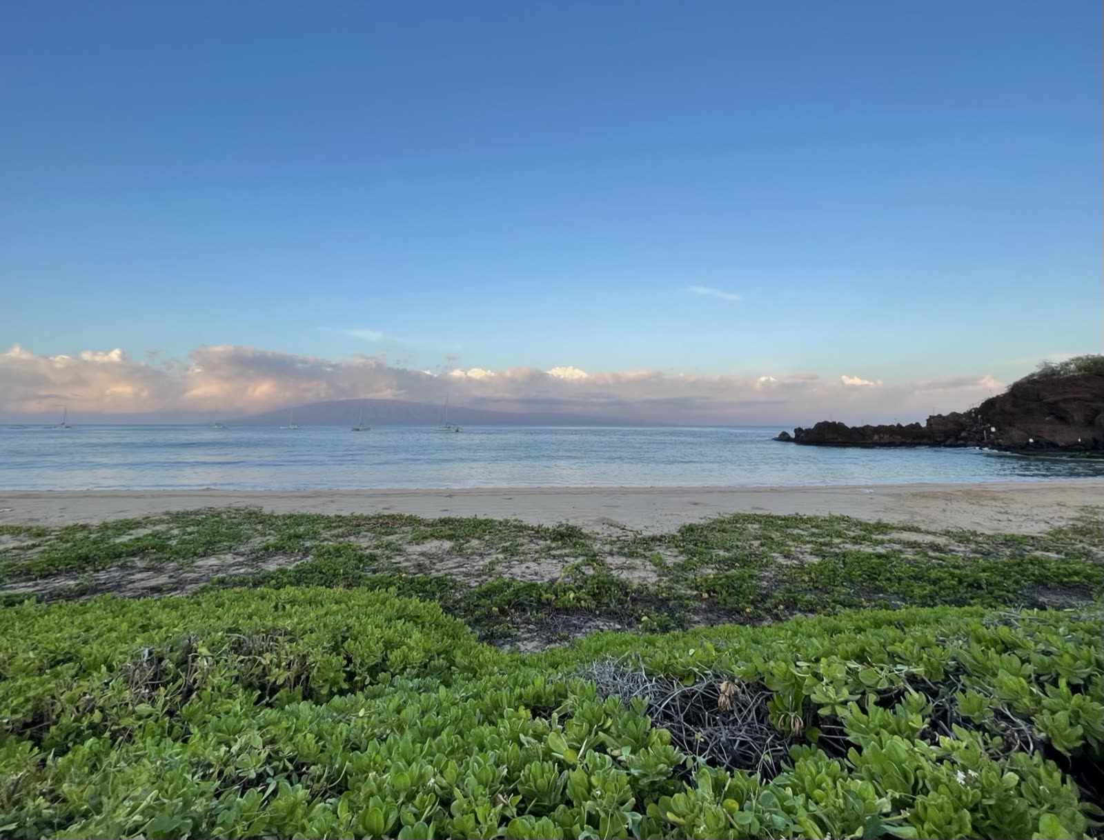 The Best Beaches in Maui, Coast by Coast