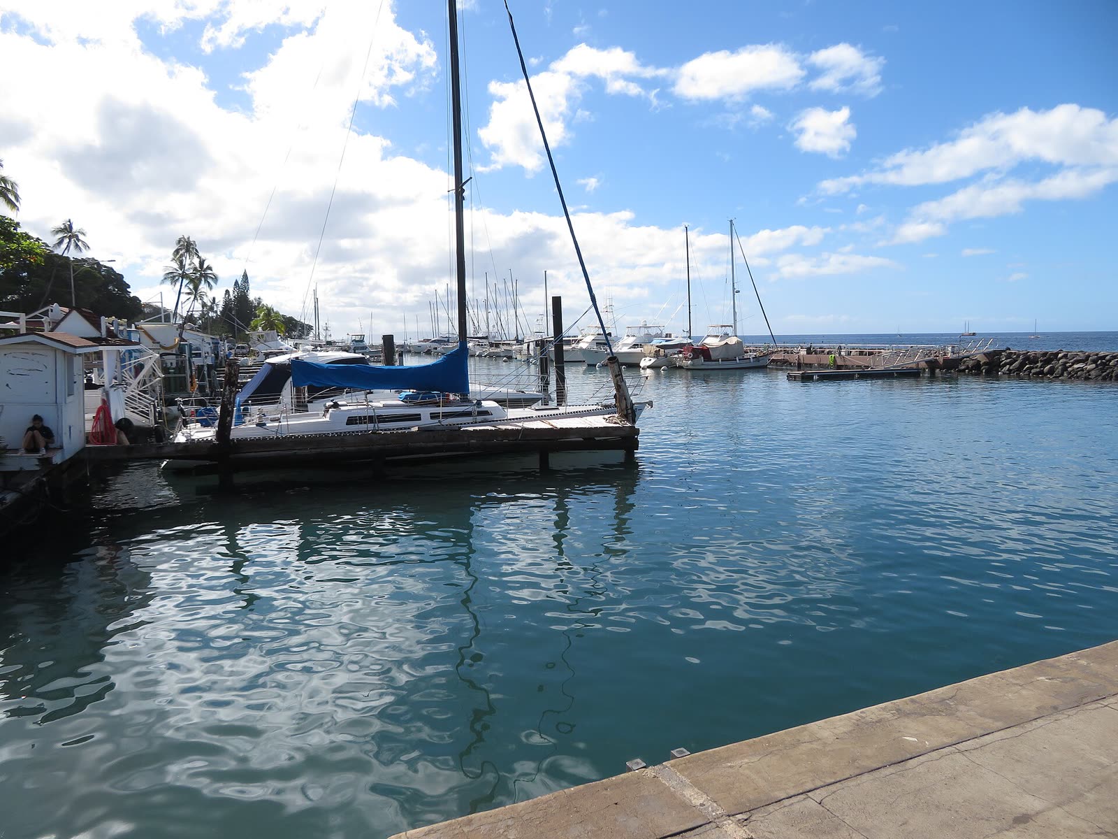 Lahaina: History, Heart, and What to Know Today