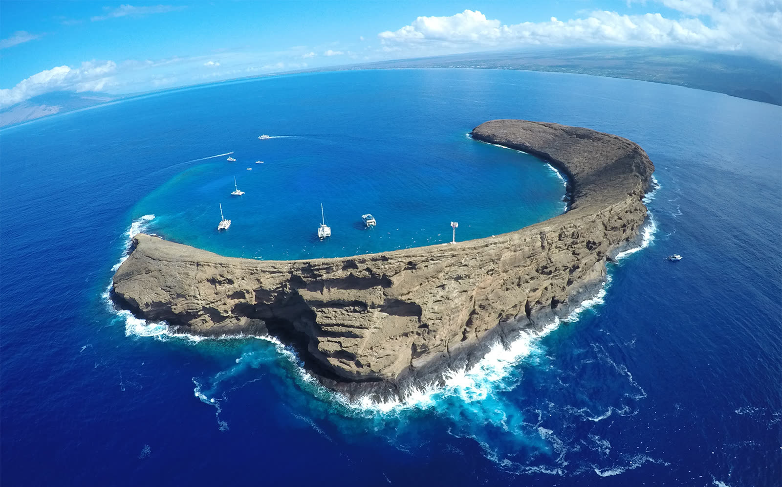 Snorkeling Molokini Crater: What to Know Before You Go