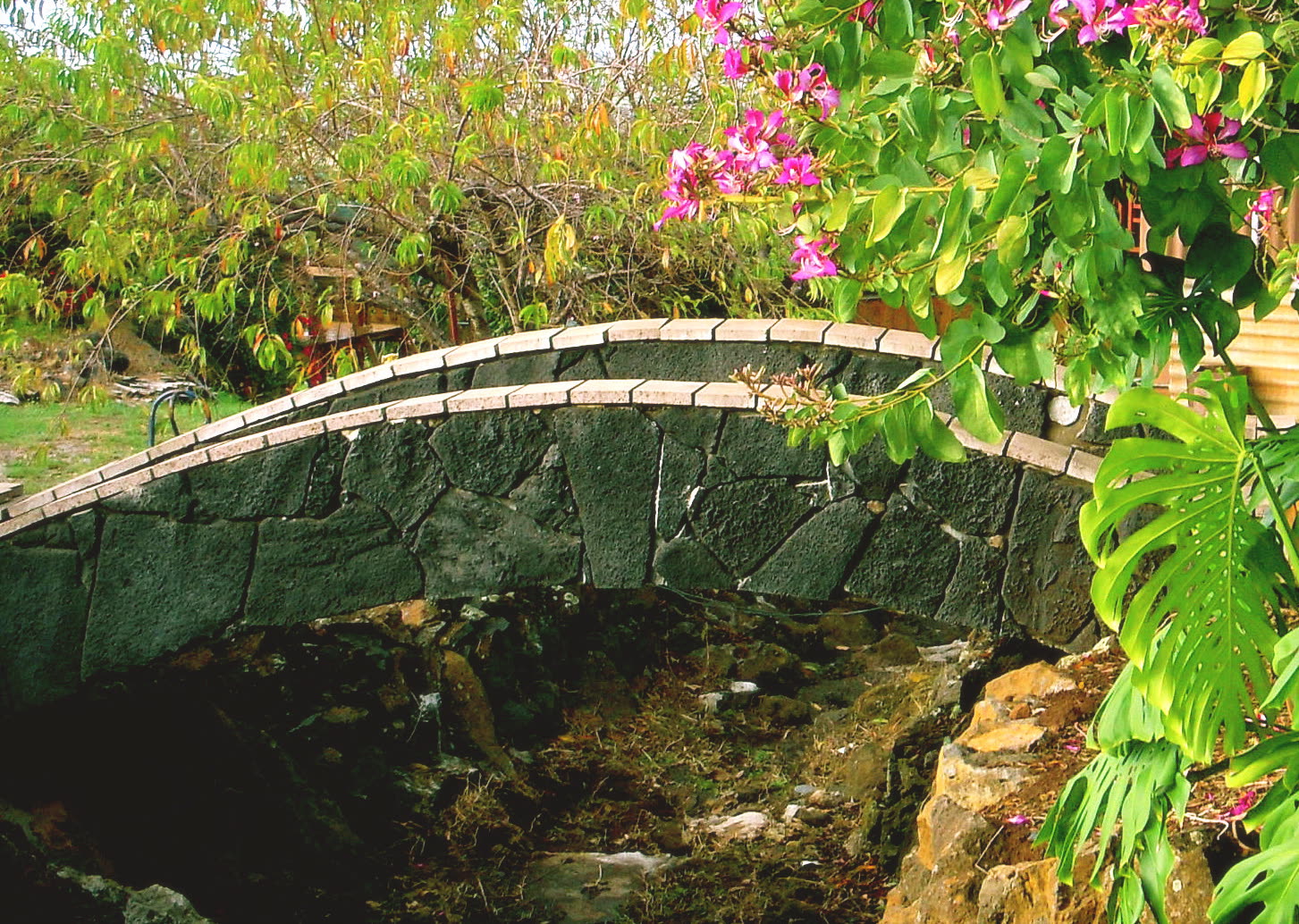 Upcountry Maui: Kula, Farms and the Cool Side of the Island