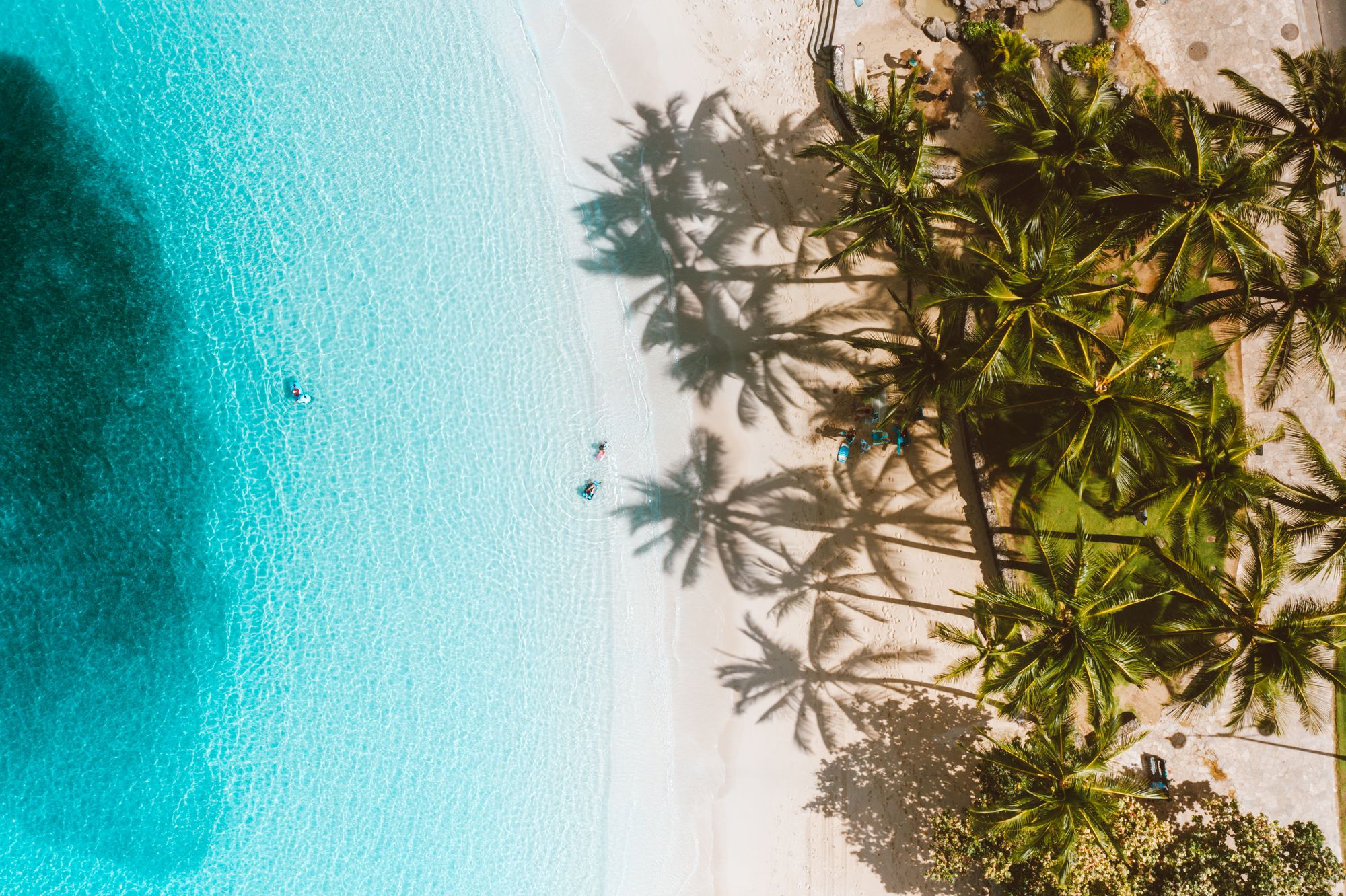 Aerial view of palms and white sand at the water's edge