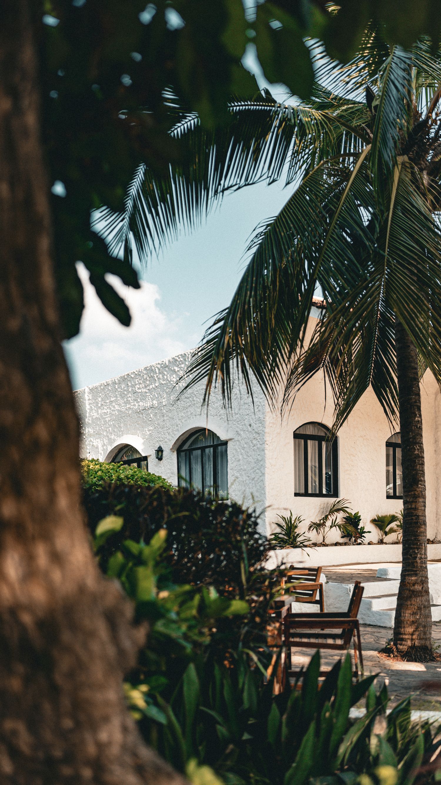 The white villa glimpsed through palms and garden at Hale Kai